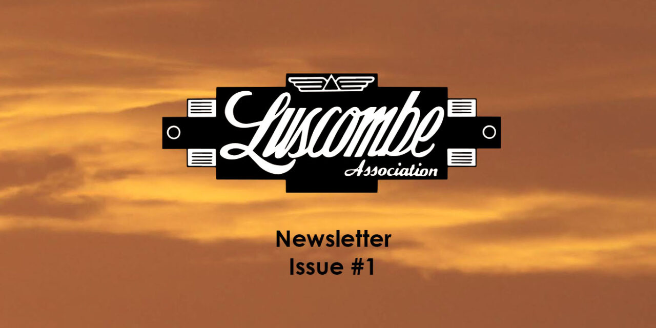 Luscombe Association Newsletter Issue #1